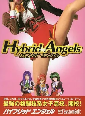 混合天使