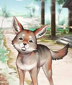 Pup