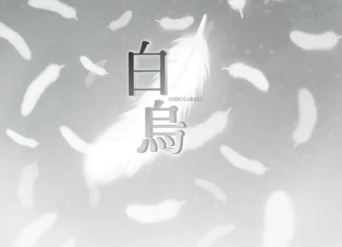 白乌