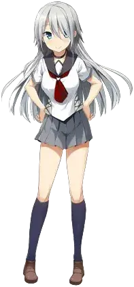 天鸟堇