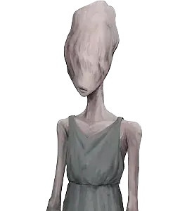 Lin Ruoyin
