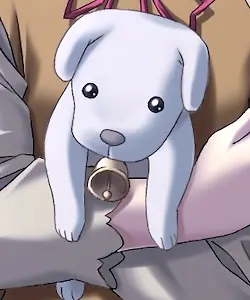 皮皮