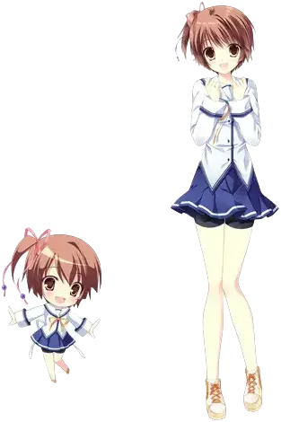 阳之下葵