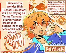 Wonder High School Simulator
