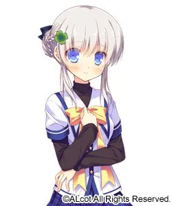 加贺美光瑠