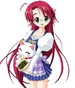 吉泽 遥