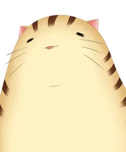 多鲁基