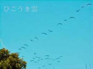 飞机云
