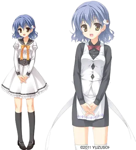 大房妃叶里