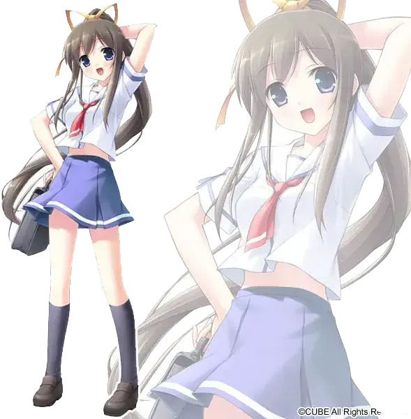 宫泽翠