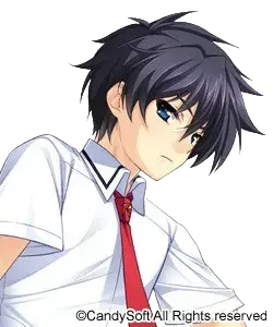 蟹泽蛹