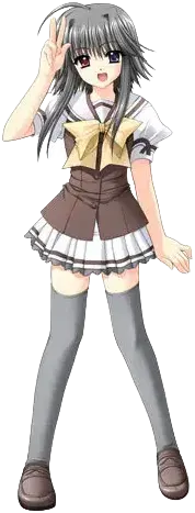麻弓百里香