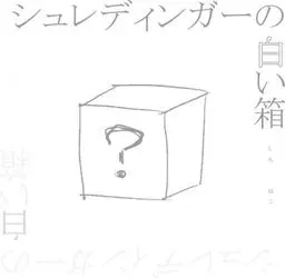 薛定谔的白箱