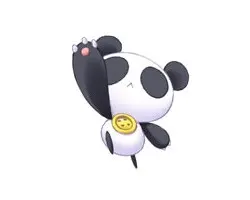 帕奇