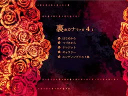 表里金丝雀041