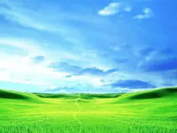 The Meadow