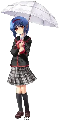 西园美鱼