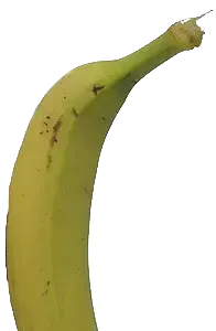 香蕉