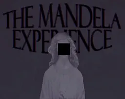 The Mandela Experience