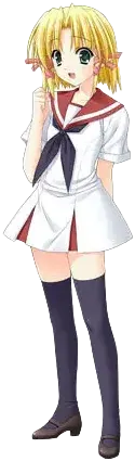 蕾