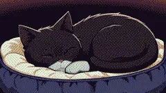 约克