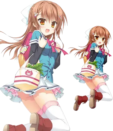 花咲乃乃香