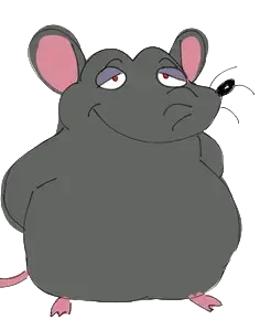 The Rat