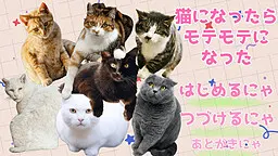 变成猫后变得超受欢迎