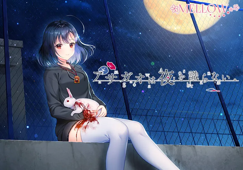 牵牛花不识夜。