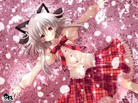 截图 1